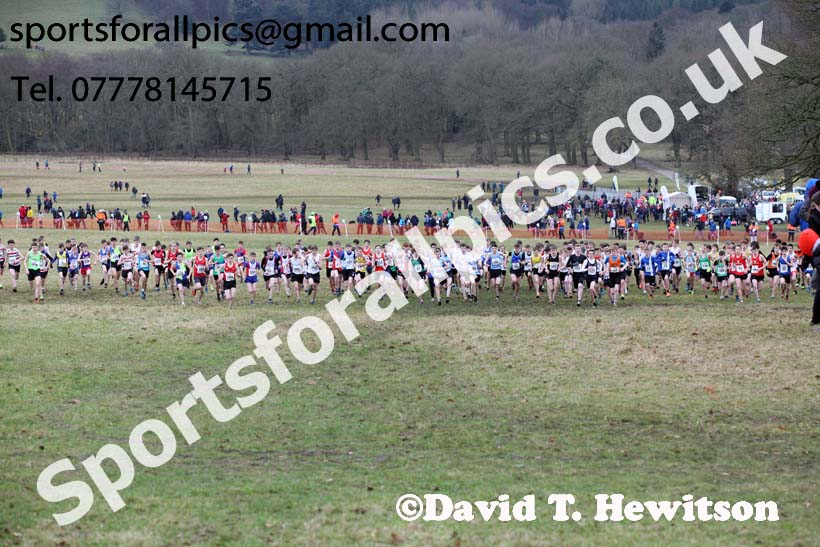 Boys under-15s, 2018 Northern Cross Country Champs., Harewood House, Leeds. Photo: David T. Hewitson/Sports for All Pics